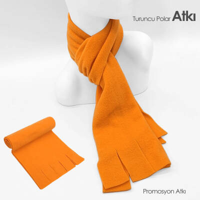 POLAR ATKI - 1
