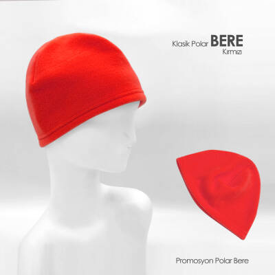 POLAR BERE - 1